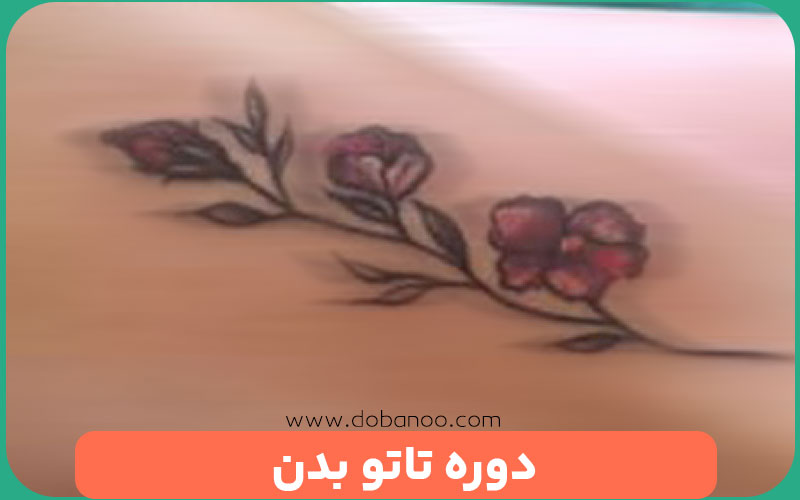 دوره آموزش تاتو بدن