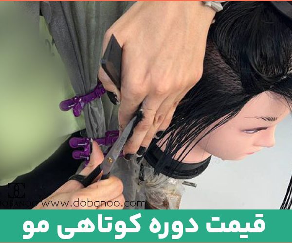 قیمت دوره آموزش کوتاهی مو