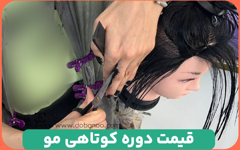 قیمت دوره آموزش کوتاهی مو