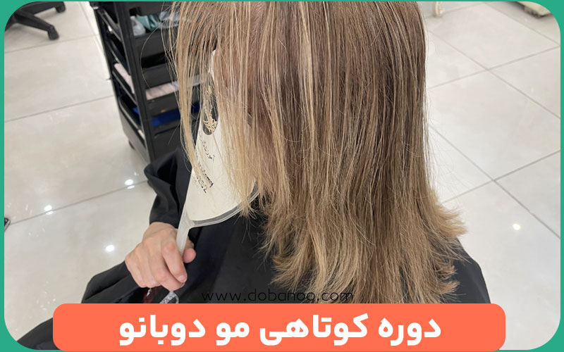 کلاس هیرکات