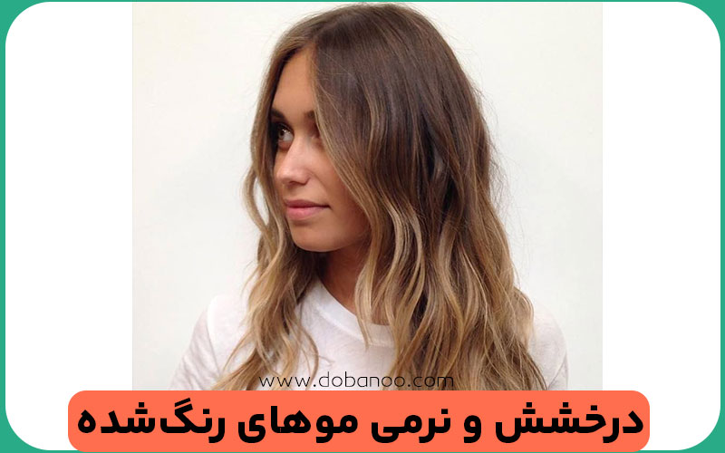 هایلایت و مش