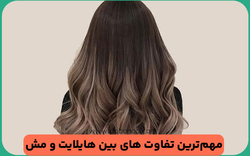 تفاوت های اصلی دیگر بین هایلایت و مش