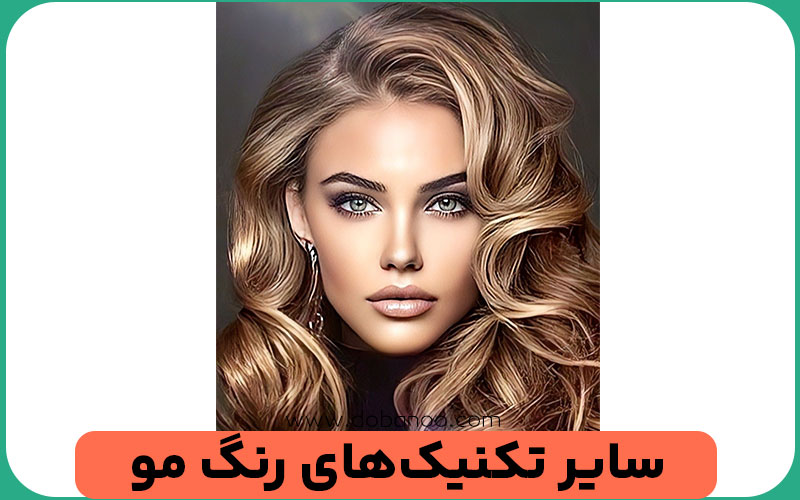 لولایت چیست