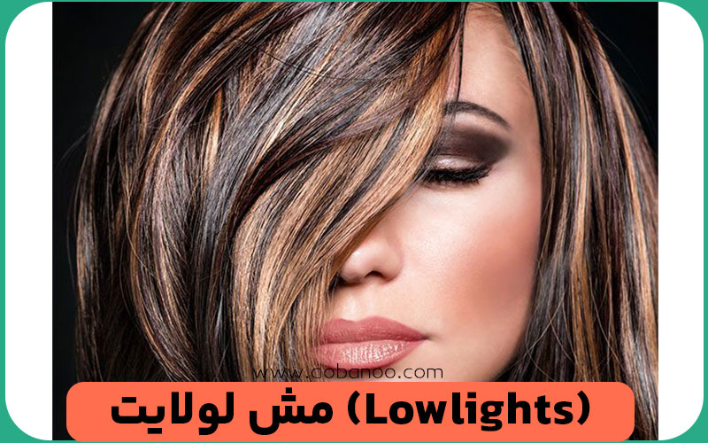 مش لولایت